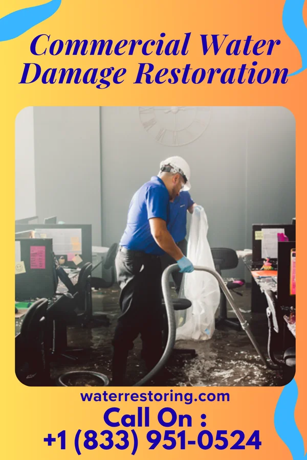 Commercial Water Damage Restoration in Gerrard, CO